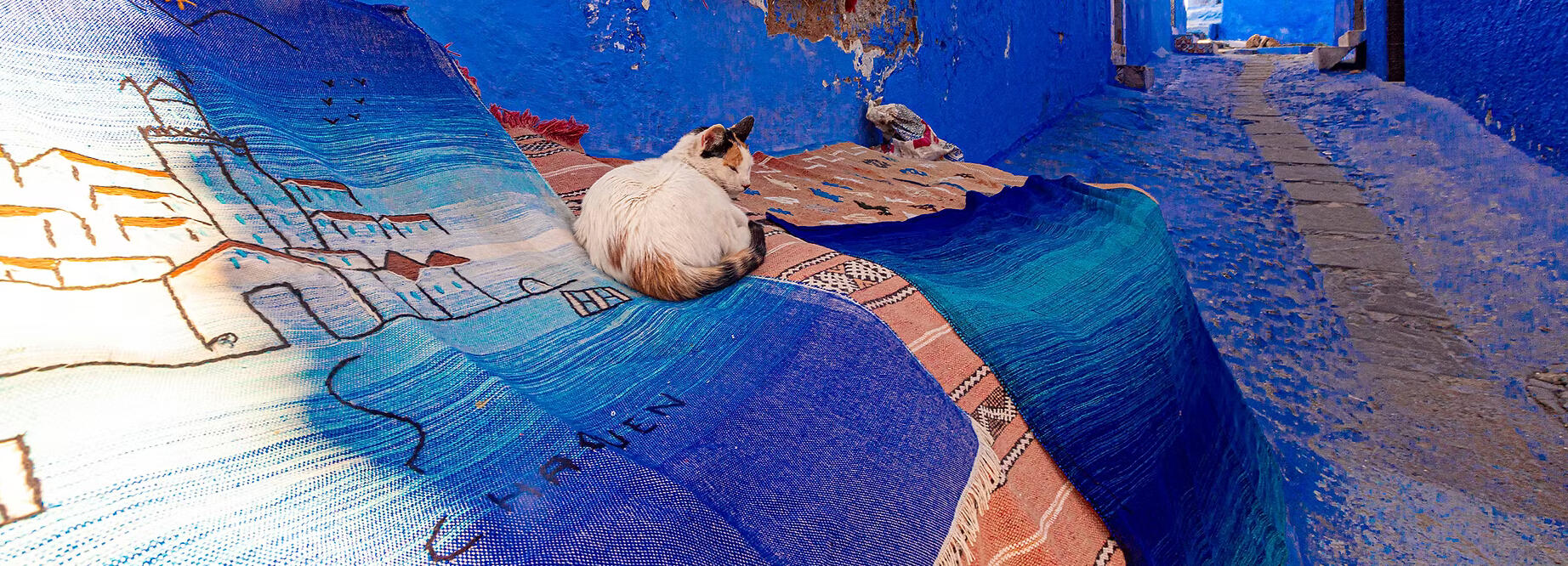 Foto di viaggio di Carmen & Alessandro in Marocco
