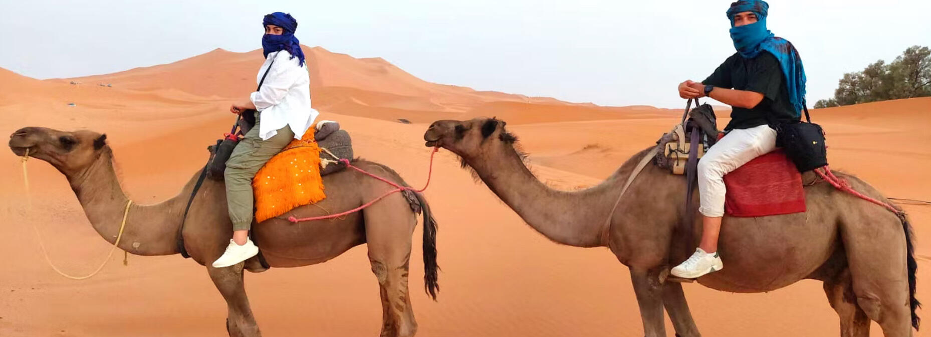 Foto di viaggio di Annalisa & Andrea in Marocco