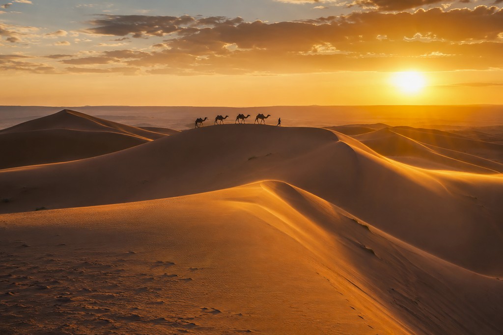 Dune del Sahara al tramonto